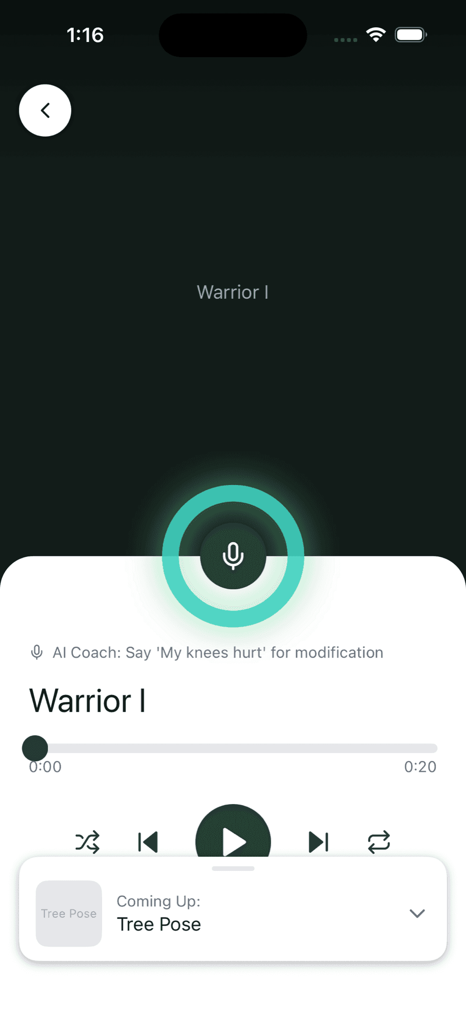 Practice with Your AI Coach